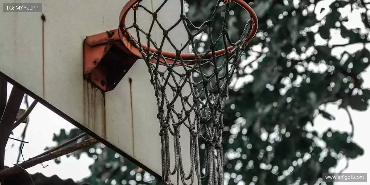 🏆 从看台到赛场,你的每一步都是传奇!🏃♂️