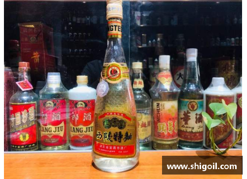 中国10大名酒，哪个省份独占4席？